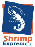 logo shrimp pty